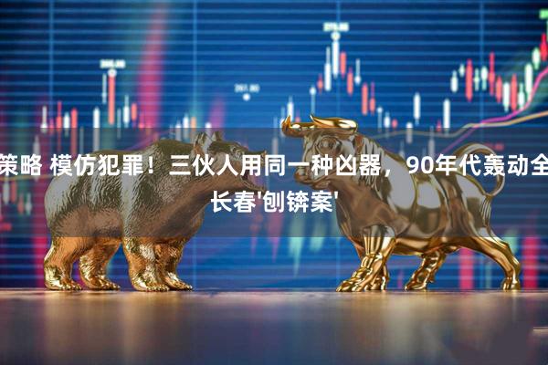 蚂蚁策略 模仿犯罪！三伙人用同一种凶器，90年代轰动全国的长春'刨锛案'